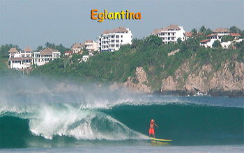 Zicatela surfer with Eglantina condo